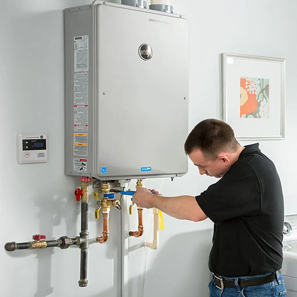 tankless water heater repair in Danville, WA